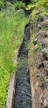 Plants: image 82 Of 208 Thumb